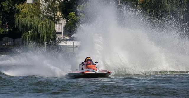 的共同努力 的共同努力