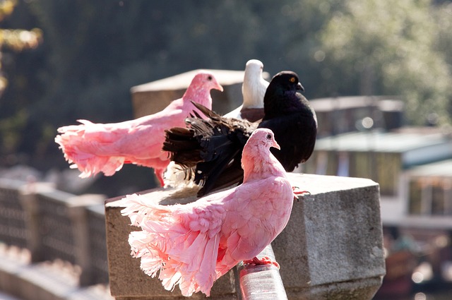 机会进一步 机会进一步