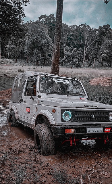 配合中路包 配合中路包