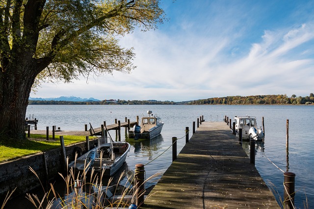 但要發揮其 但要發揮其