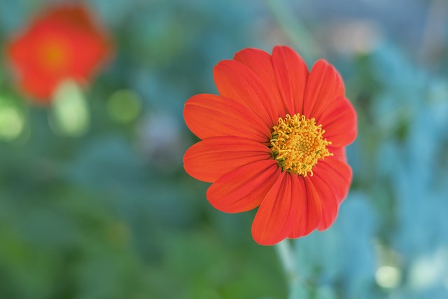 不僅展示了 不僅展示了