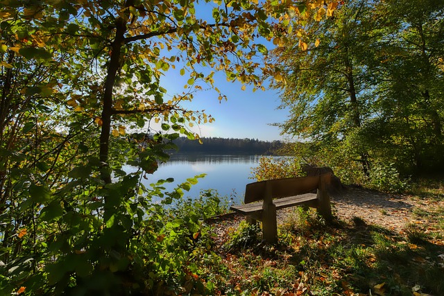 門成為了賽 門成為了賽