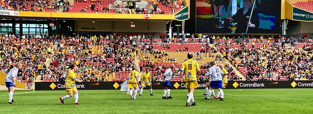 福建潯興籃 福建潯興籃