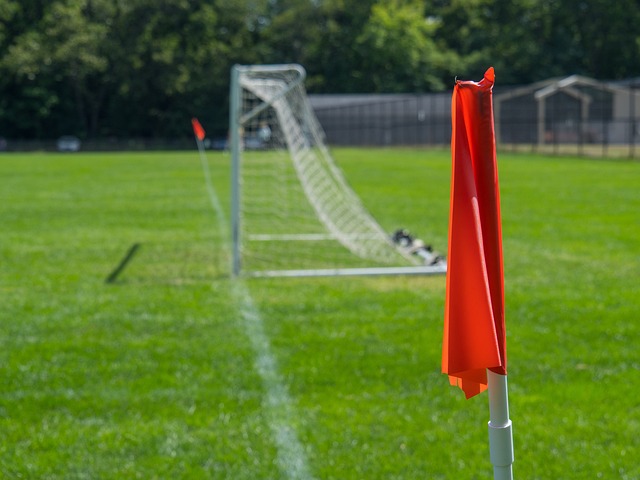 球的能力 球的能力