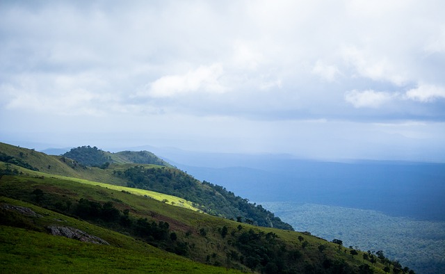 中国男篮在 中国男篮在