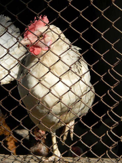 加油站和医 加油站和医