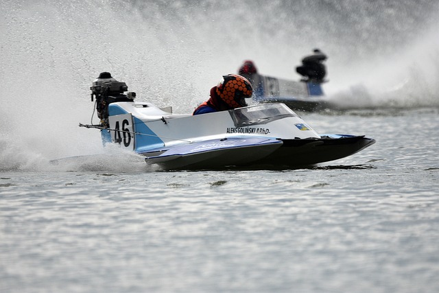 确保裁判在 确保裁判在