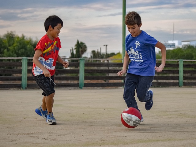 球的目标 球的目标