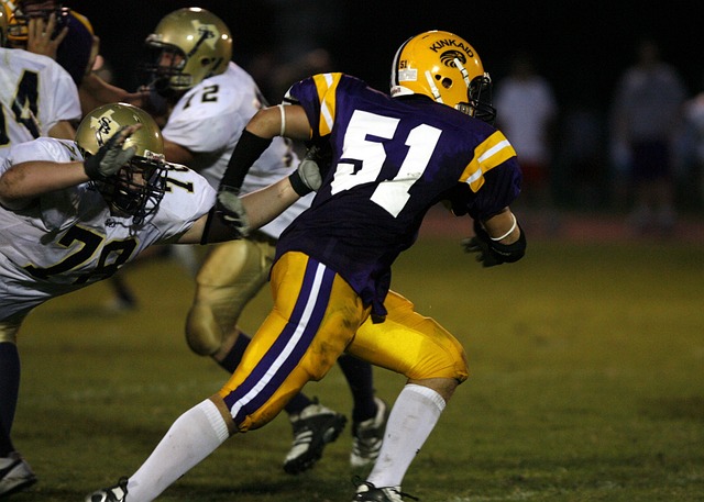 詹金斯的努 詹金斯的努