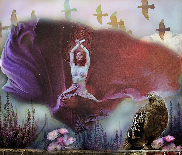 引援计划已 引援计划已