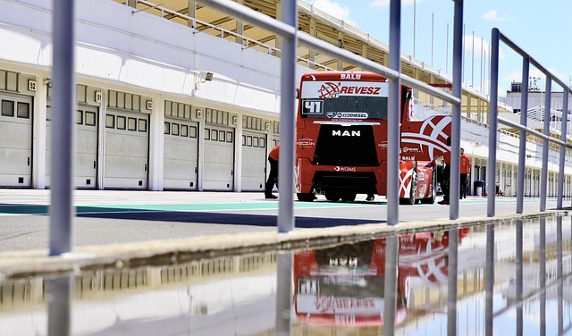 他们有可能 他们有可能