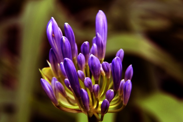 找到生活的 找到生活的