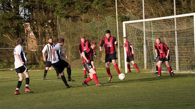 照德国在阿 照德国在阿