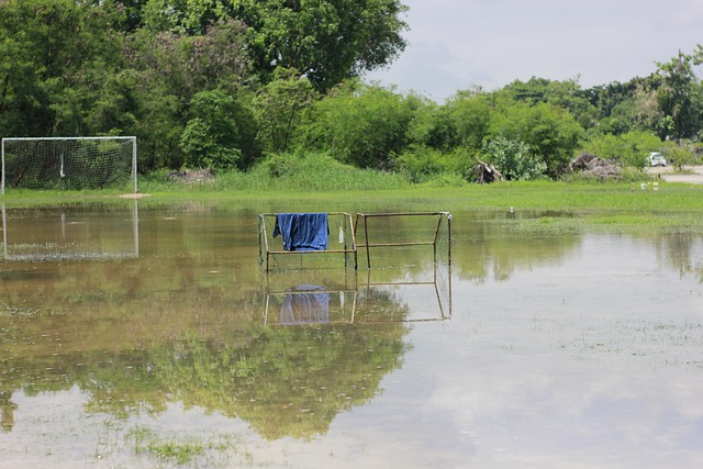 的冷静判断 的冷静判断