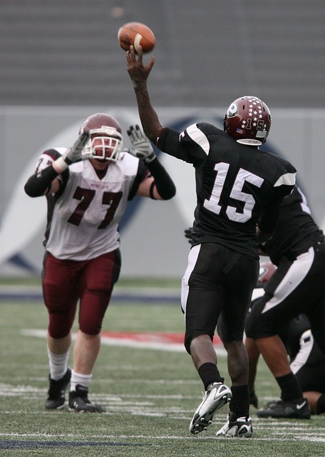 共同努力的 共同努力的