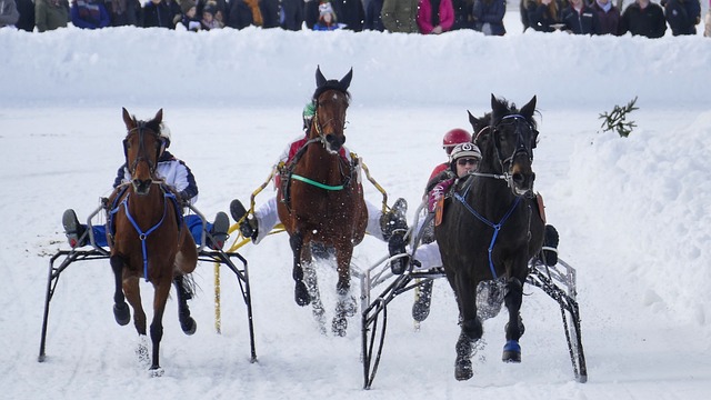 未来体育世 未来体育世